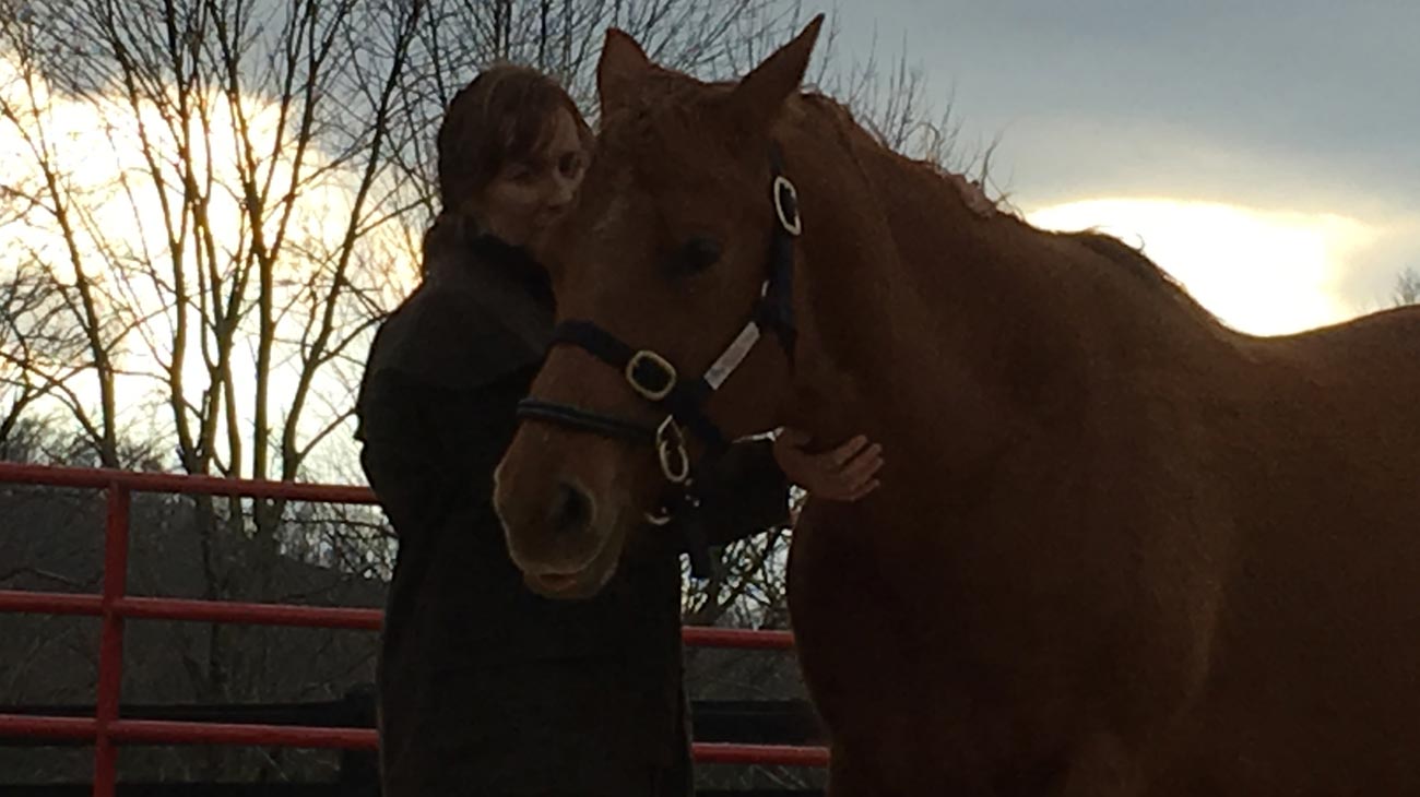Reach Out To Horses with Anna Twinney – April 2016