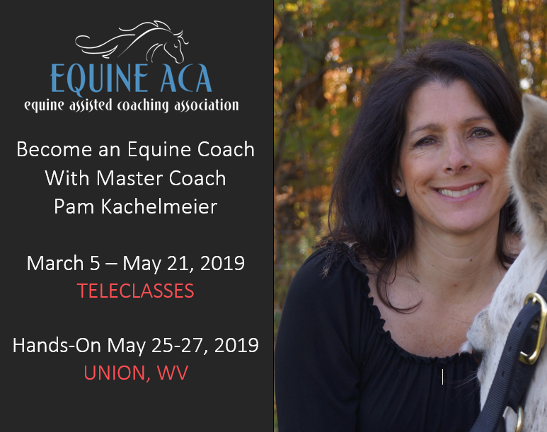 Equine Assisted Coaching Training
